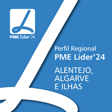 Perfil das PME Líder 2024