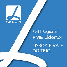 Perfil das PME Líder 2024