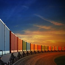 Empresas e Biodiversidade | Relatório Internacional