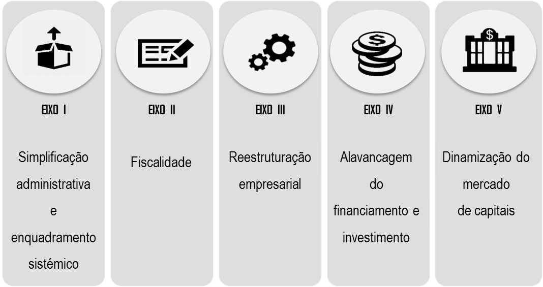Eixos-Estrategicos-de-Intervencao-Programa-Capitalizar-(1).png