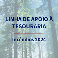 Linha de Apoio à Tesouraria | Incêndios 2024