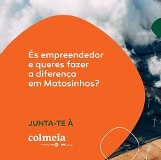 Programa Colmeia | Candidaturas abertas para startups de Matosinhos