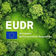 Comissão Europeia simplifica Regulamento da Desflorestação