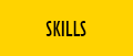 BT_Skills_120x51-(1).png