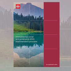 ISO lança guia de implementação ESG