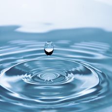 Plataforma de Partes Interessadas para a Resiliência Hídrica