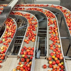 Financiamento para ações de prevenção do desperdício alimentar