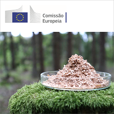 Bio-based Europe Alliance | Convite à partipação