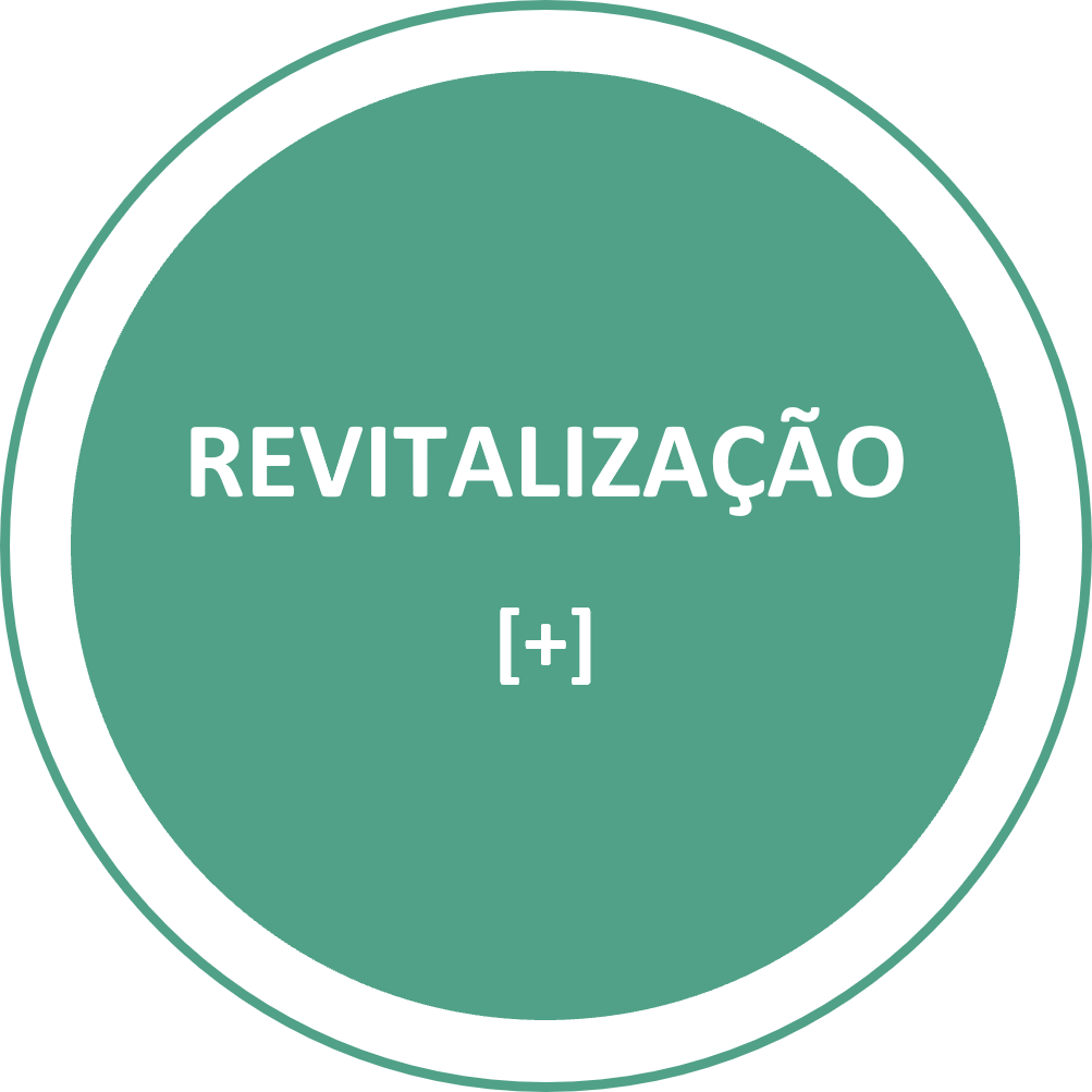 REVIT_V2-(1).png