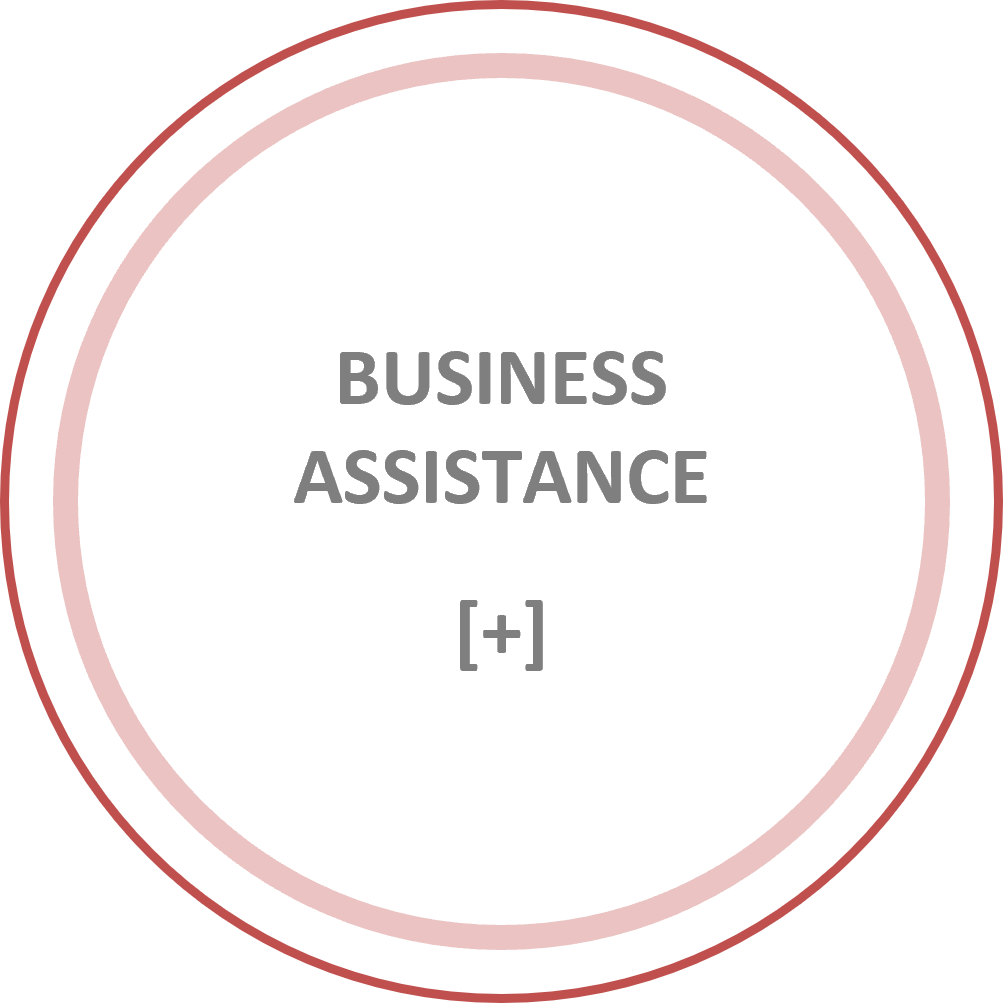 BusinessAssistance-(1).png
