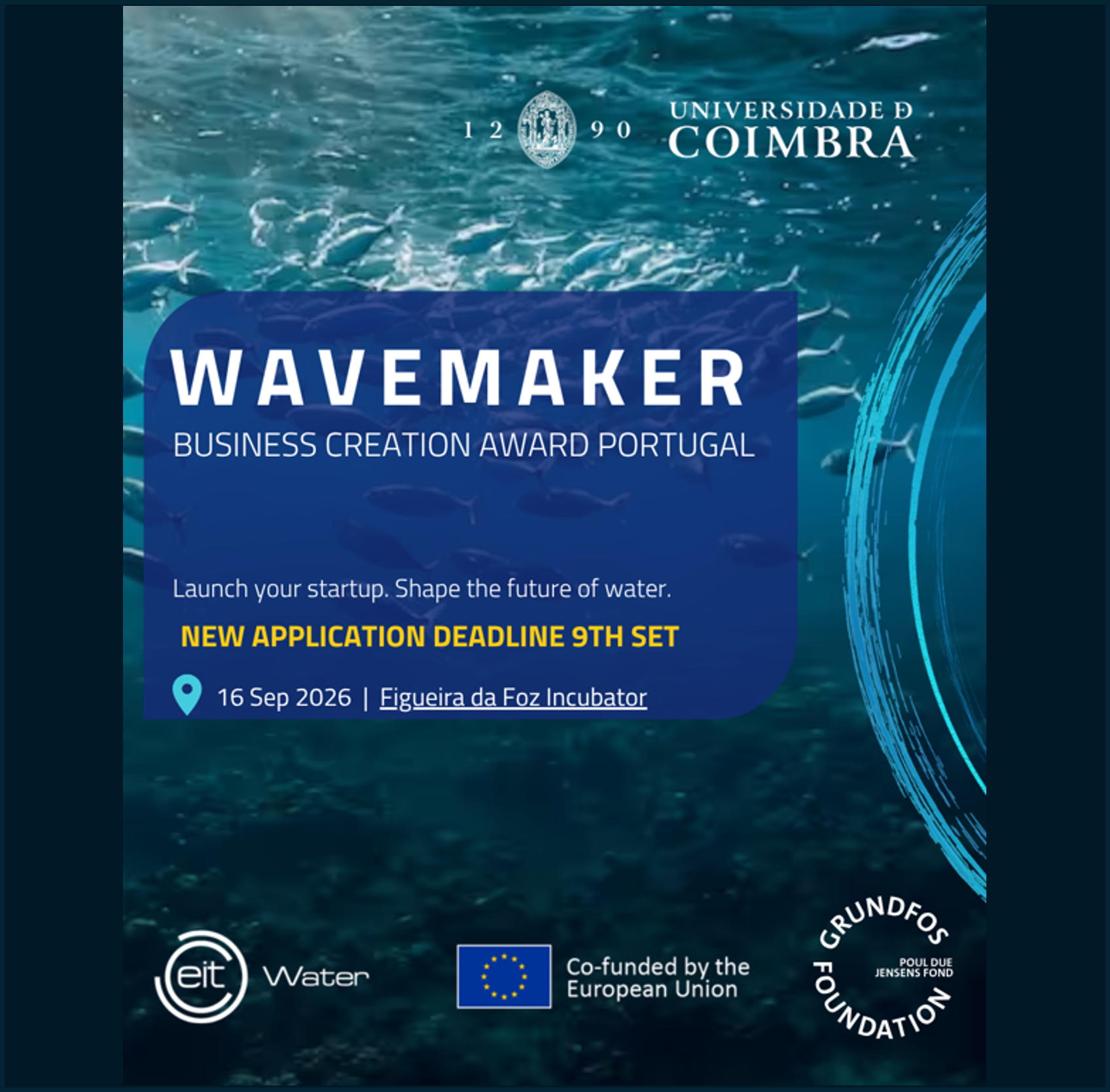Wavemaker Business Creation Award