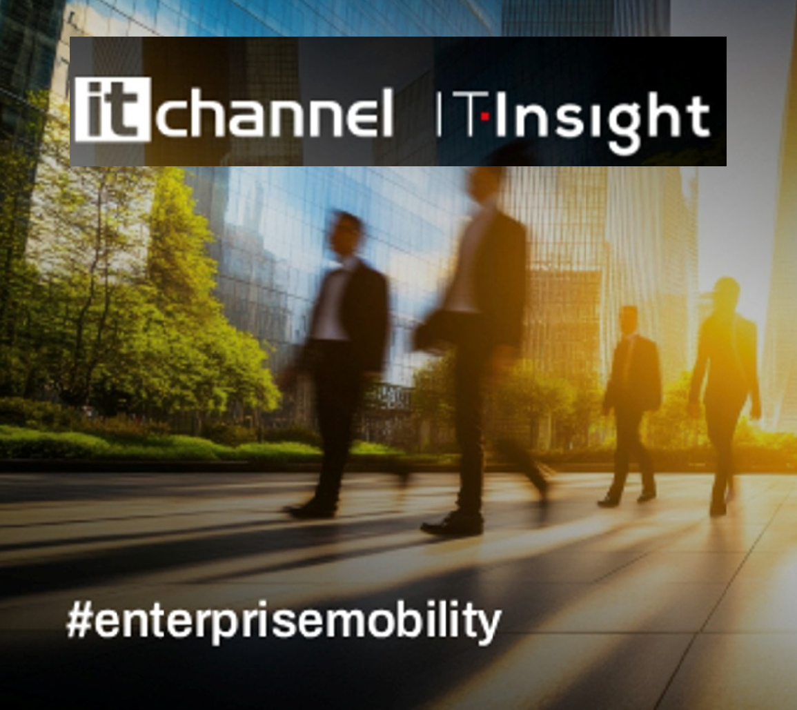 Itinsight